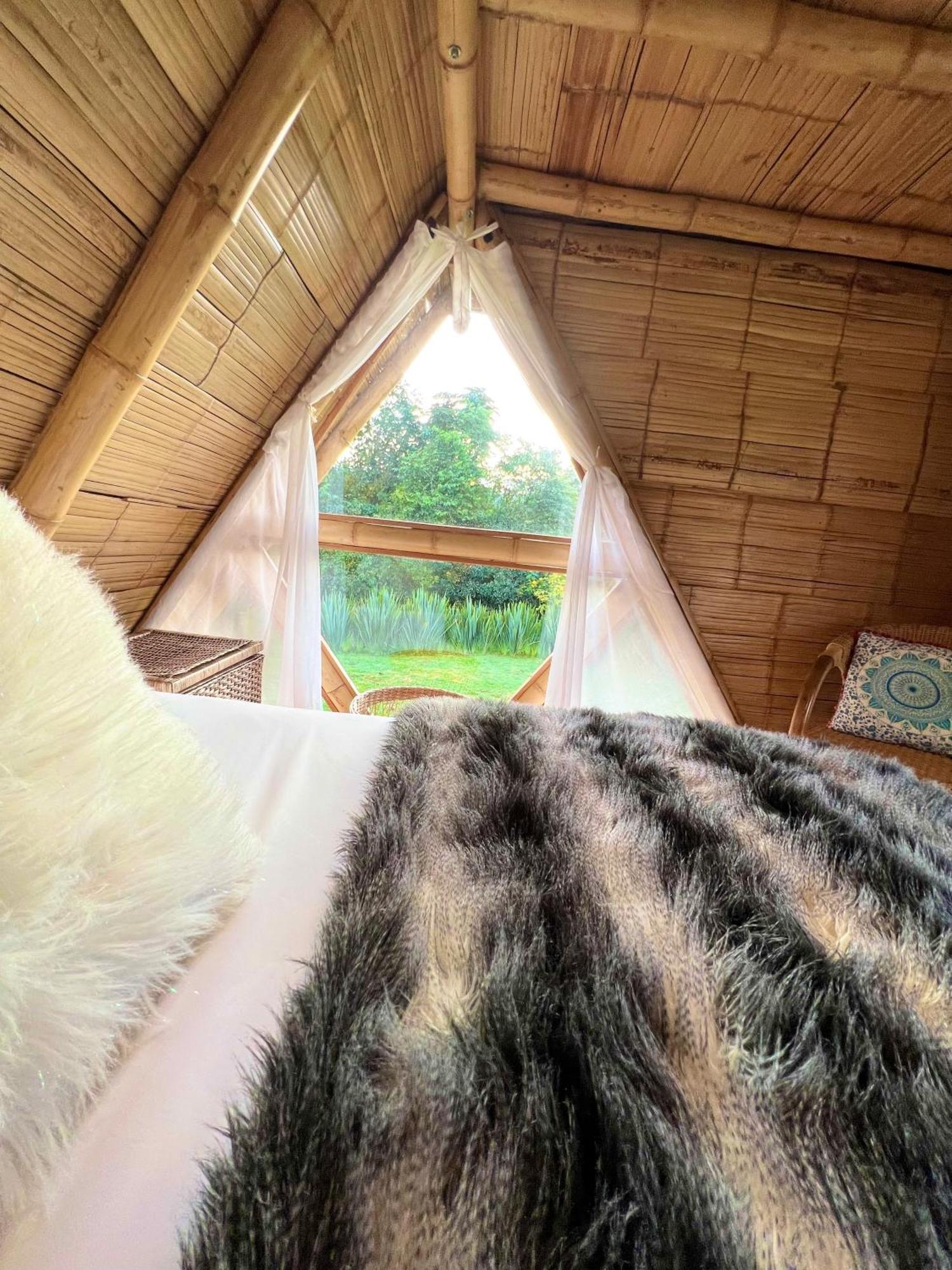 Glamping La Herradura Santa Rosa de Cabal Bagian luar foto